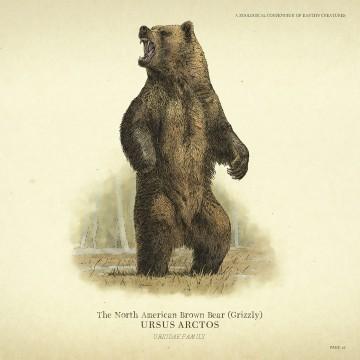 Grizzly Bear (North American Brown Bear) - RDR2 Animals | Map Location & Where To Find Grizzly Bear (North American Brown Bear) - RDR2 Animals | Map Location & Where To Find