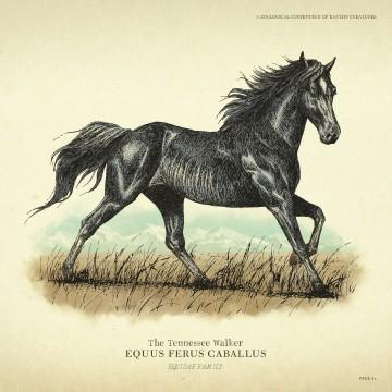 RDR2 Wildlife TennesseeWalker Horse