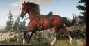 Rd r2 early access red chestnut arabian horse 2568 360