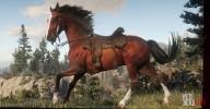 How Horses Work in Red Dead Online: Buying, Death, Safety, Multiple Horses and more