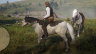 RDR2 Horses AmericanPaintHorse SplashedWhiteAmericanPaintHorse