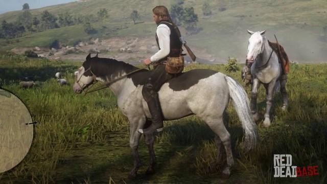 RDR2 Horses AmericanPaintHorse SplashedWhiteAmericanPaintHorse