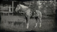 RDR2 Horses AmericanStandardbred