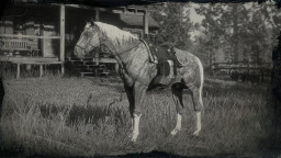 RDR2 Horses AmericanStandardbred