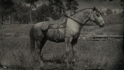 RDR2 Horses AndalusianHorse