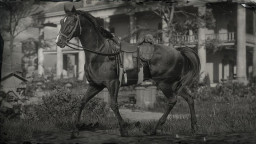 RDR2 Horses ArabianHorse
