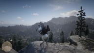 RDR2 Horses ArabianHorse WhiteArabianHorse 2