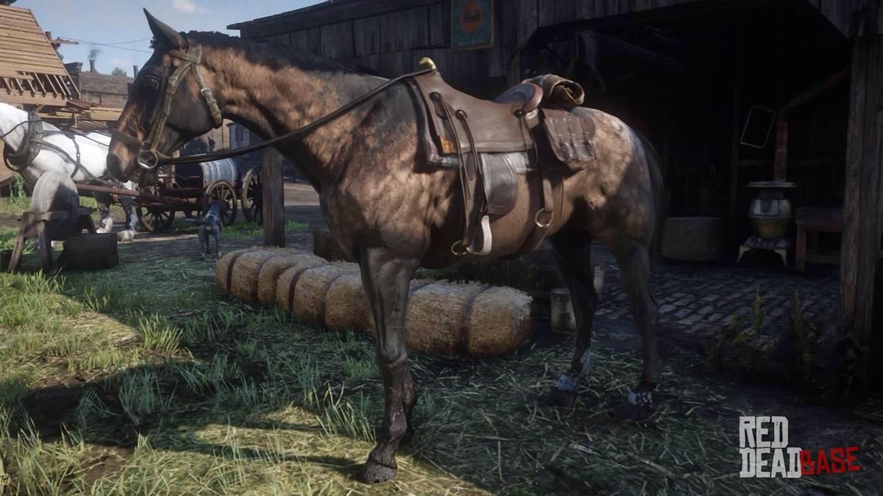 Red Dead Redemption 2 - Cavalo Warmblood Holandês Ruano Chocolate RDR2