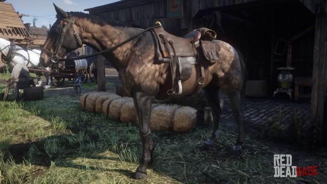 RDR2 Horses DutchWarmblood SootyBuckskinDutchWarmblood