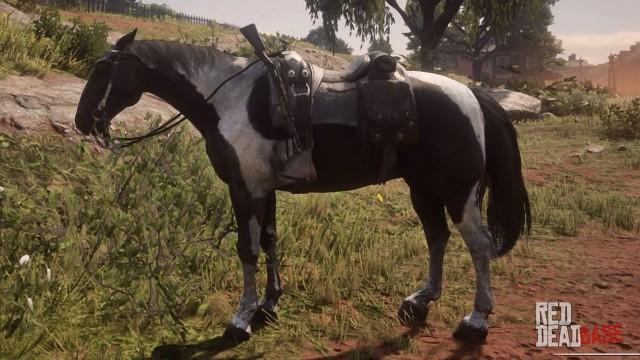 Piebald Tobiano Hungarian Halfbred - RDR2 Horse