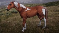 RDR2 Horses KentuckySaddler ChestnutPintoKentuckySaddler