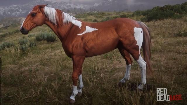 RDR2 Horses KentuckySaddler ChestnutPintoKentuckySaddler