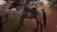 RDR2 Horses KentuckySaddler GreyKentuckySaddler