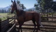 RDR2 Horses KentuckySaddler SilverBaySaddler