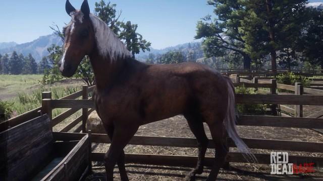 RDR2 Horses KentuckySaddler SilverBaySaddler