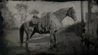 RDR2 Horses MissouriFoxTrotter