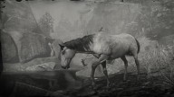 RDR2 Horses MorganHorse