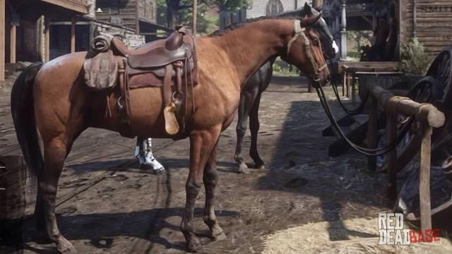 RDR2 Horses MorganHorse BayMorganHorse