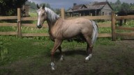 RDR2 Horses MorganHorse PalominoMorganHorse2