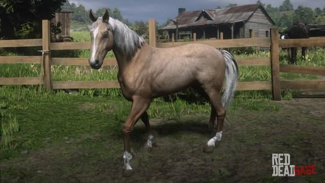 RDR2 Horses MorganHorse PalominoMorganHorse2
