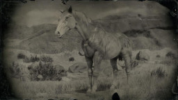 RDR2 Horses NokotaHorse
