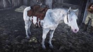 RDR2 Horses NokotaHorse WhiteRoanNokotaHorse