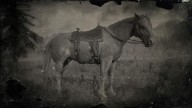 RDR2 Horses SuffolkPunchHorse