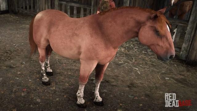 Sorrel Suffolk Punch Horse - RDR2 Horse Sorrel Suffolk Punch Horse - RDR2 Horse