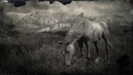 RDR2 Horses TennesseeWalker