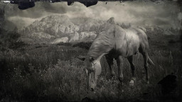 RDR2 Horses TennesseeWalker