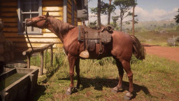 RDR2 Horses TennesseeWalker ChestnutTennesseeWalker