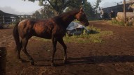 RDR2 Horses TennesseeWalker DappleBayTennesseeWalker