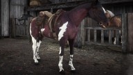 RDR2 Horses TennesseeWalker MahoganyBayTennesseeWalker