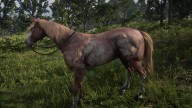 RDR2 Horses TennesseeWalker RedRoanTennesseeWalker