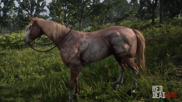 RDR2 Horses TennesseeWalker RedRoanTennesseeWalker