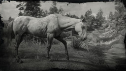 RDR2 Horses Thoroughbred