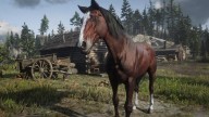 RDR2 Horses Thoroughbred BloodBayThoroughbred 2