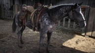 RDR2 Horses Thoroughbred DappledBlackThoroughbred 3