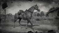 RDR2 Horses TurkomanHorse