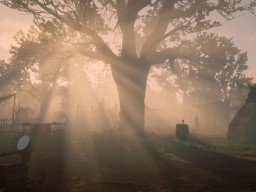 fucafire red dead redemption 2