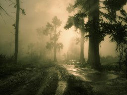 red dead redemption 2 moistvud