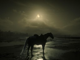 red dead redemption 2 njo1982