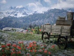 red dead redemption 2 shelbygr