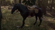 RDR2 Horses Andalusian DarkBayAndalusian