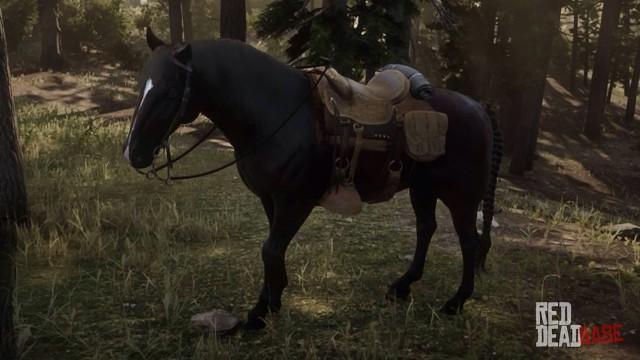 Dark Bay Andalusian Horse - RDR2 Horse