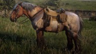 RDR2 Horses Ardennes BayRoanArdennes