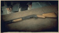 RDR2 Weapon PumpActionShotgun 2