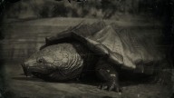 RDR2 Animal AlligatorSnappingTurtle