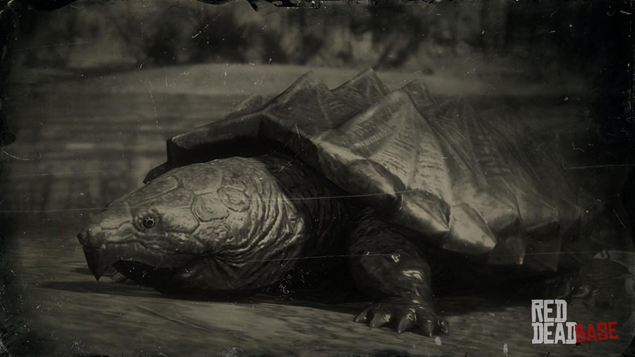 Alligator Snapping Turtle | RDR2 Animals | Map Location & To Find