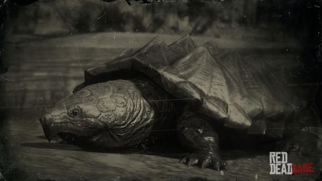 RDR2 Animal AlligatorSnappingTurtle